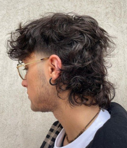 16 Dashing Wolf Mullet Male Should Try Soon